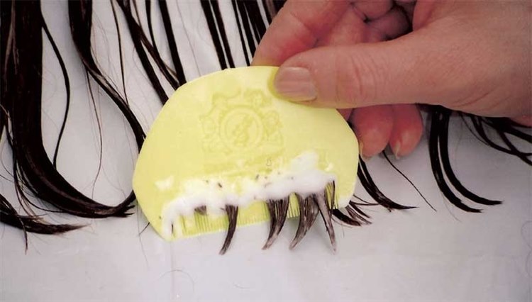 Nasses Auskämmen mit Läusekamm und Haarspülung Fotografie nasser Haare, die mit einem Läusekamm ausgekämmt werden.
