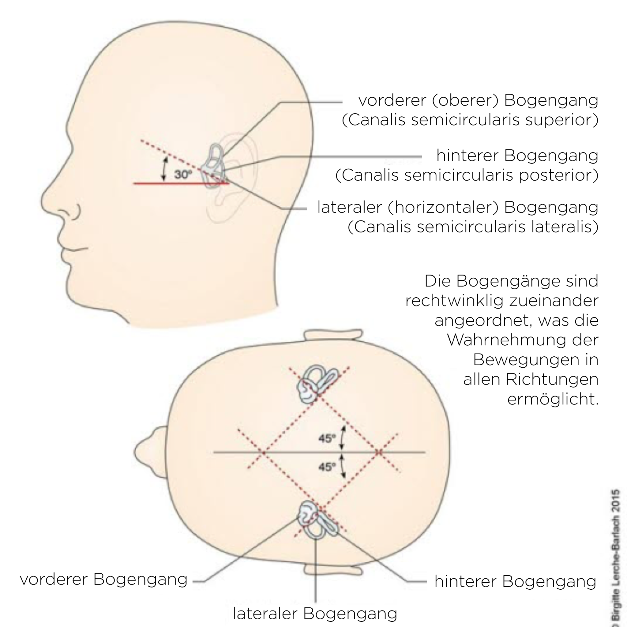 Bogengänge Bogengänge